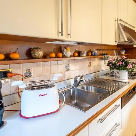 L'angolo Delle Peonie